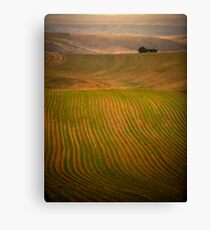 Earth Canvas Print