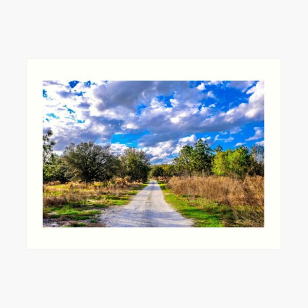 Dirt Road 1 Art Print