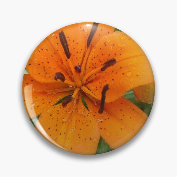 Item preview, Orange Lily designed and sold by traceh38.