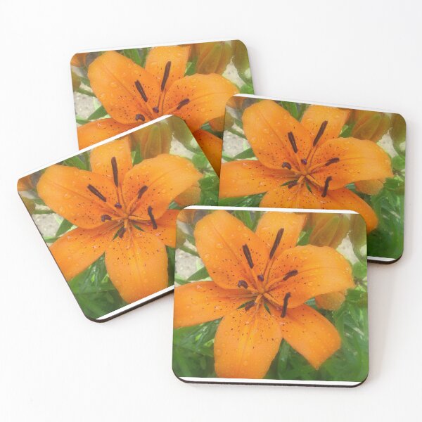 Item preview, Orange Lily designed and sold by traceh38.