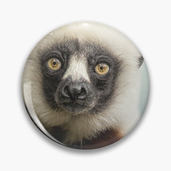 Item preview, Madagascar Sifaka Lemur designed and sold by Elisabeth Lucas.