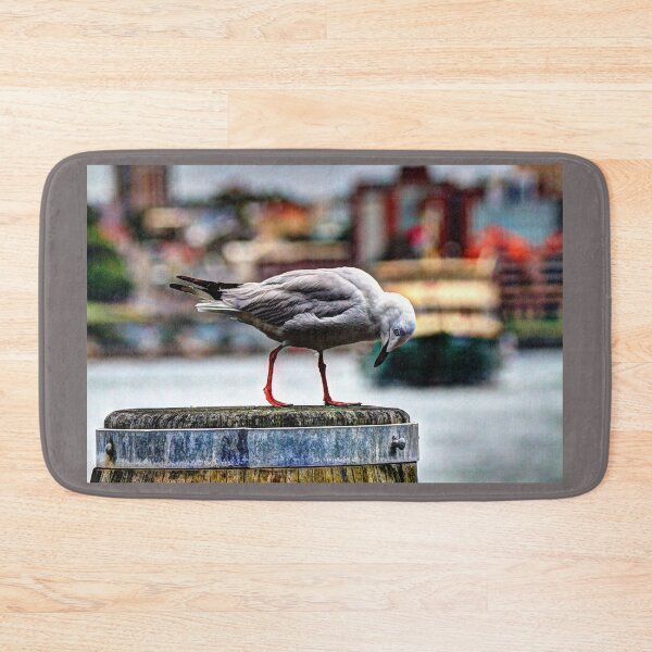 Item preview, Seagull Steppin Out designed and sold by Blackadder Photography.