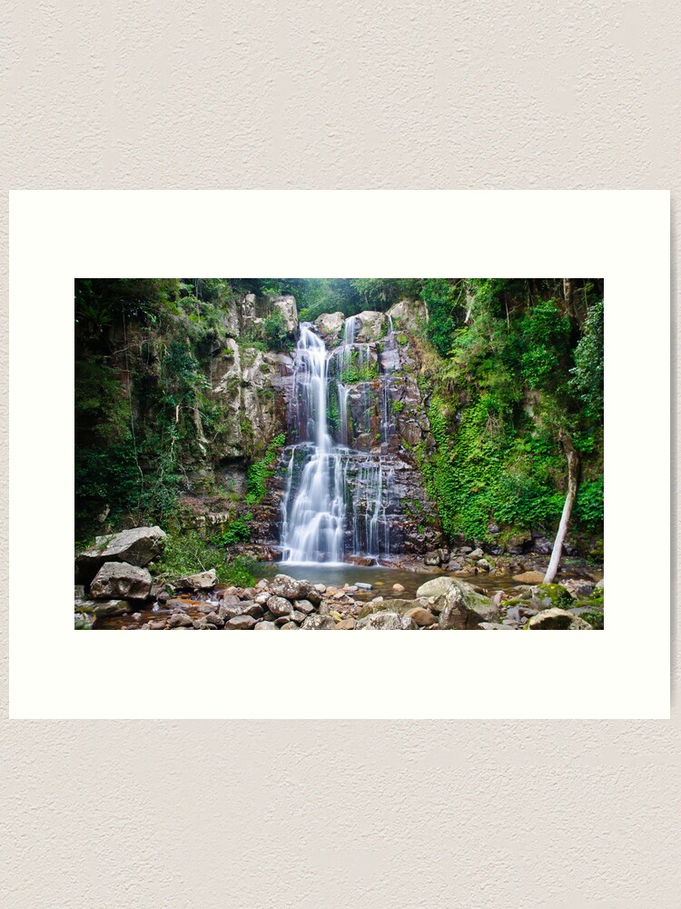 Thumbnail 1 of 3, Art Print, Minnamurra Falls designed and sold by dilshara.