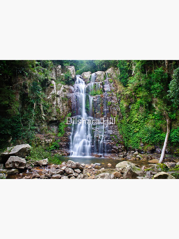 Thumbnail 3 of 3, Art Print, Minnamurra Falls designed and sold by dilshara.