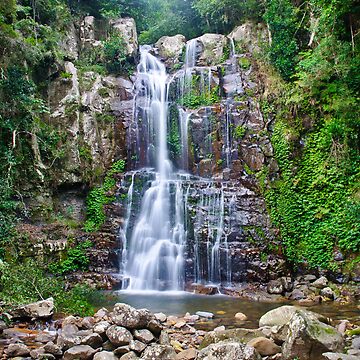 Artwork thumbnail, Minnamurra Falls by Dilshara Hill
