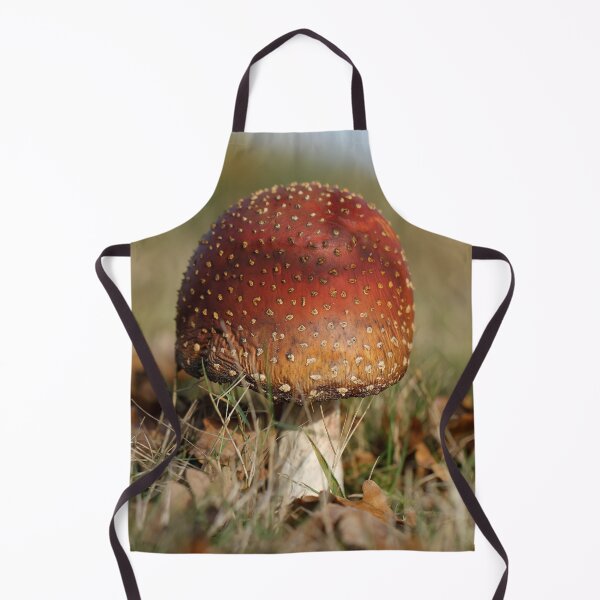 Item preview, Fly agaric designed and sold by cuprum.