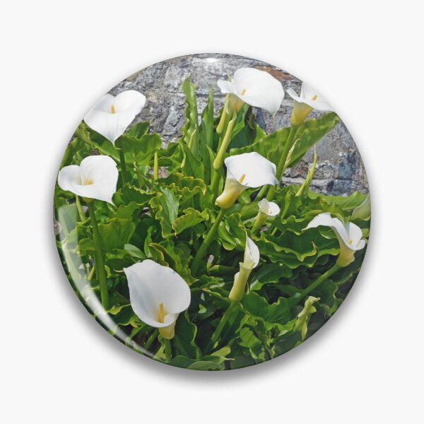 Item preview, Callas For Everybody designed and sold by Alexandra Lavizzari.