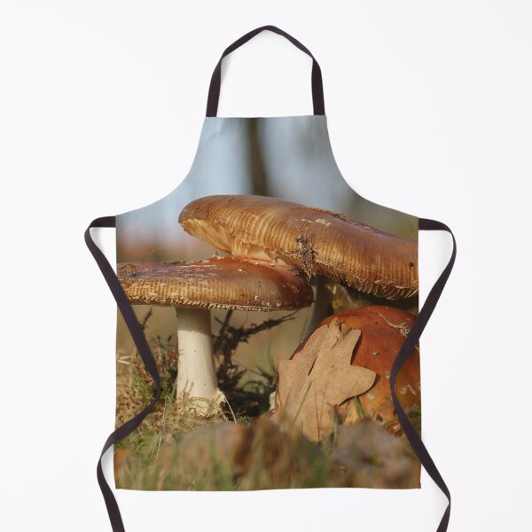 Item preview, Fly agaric threesome designed and sold by cuprum.