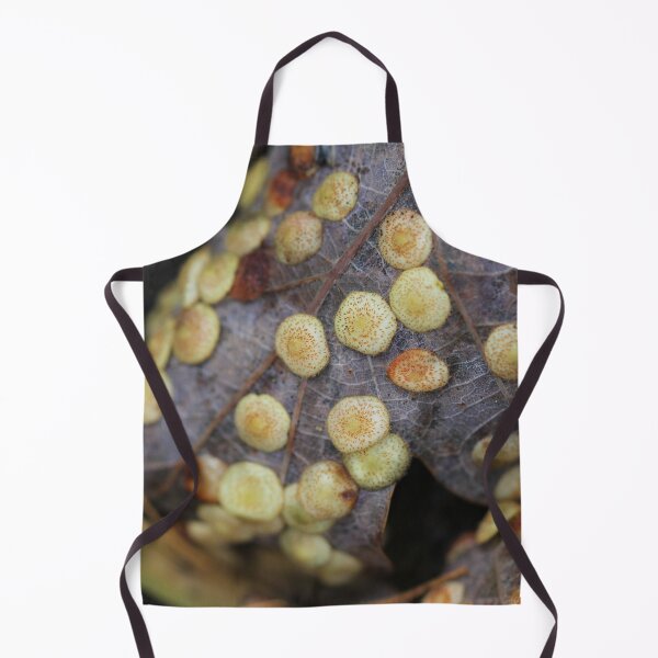 Item preview, Common spangle gall on oak leaf designed and sold by cuprum.