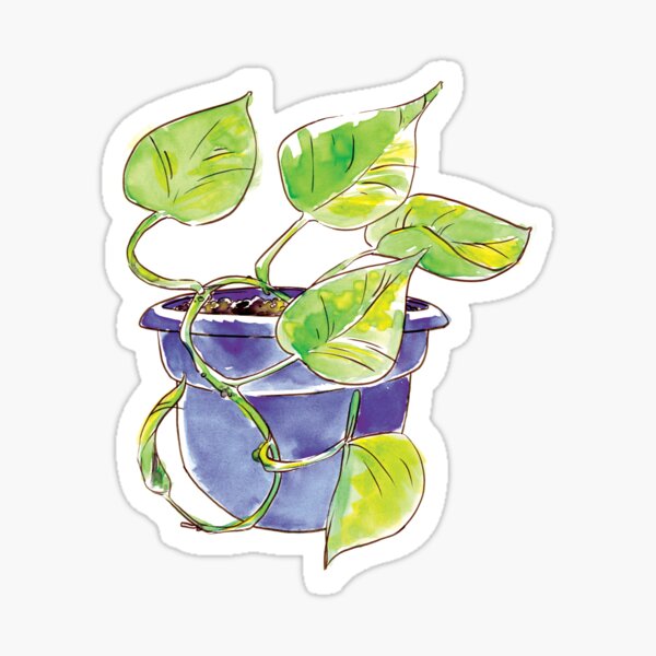 Watercolor Potted Purple Philodendron Sticker