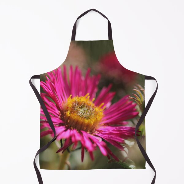 Item preview, Aster, a star designed and sold by cuprum.