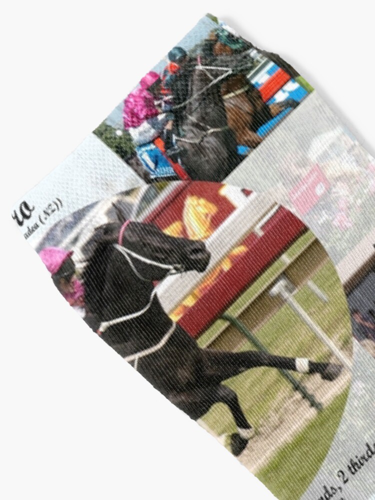 Alternate view of Lonhro career tribute Socks