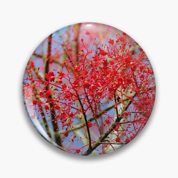 Item preview, Ablaze designed and sold by Kerryn Madsen-Pietsch.