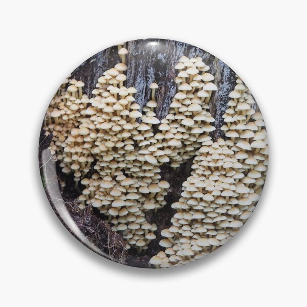 Item preview, Troops of sulphur tuft mushrooms on a stump designed and sold by SDym Photography.