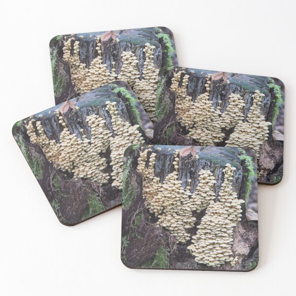Item preview, Troops of sulphur tuft mushrooms on a stump designed and sold by SDym Photography.