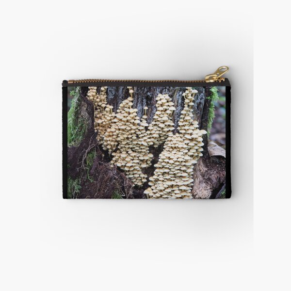 Item preview, Troops of sulphur tuft mushrooms on a stump designed and sold by SDym Photography.