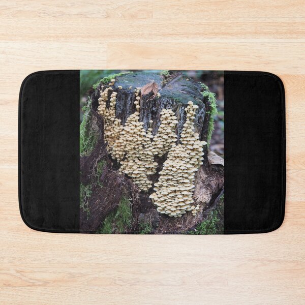 Item preview, Troops of sulphur tuft mushrooms on a stump designed and sold by SDym Photography.