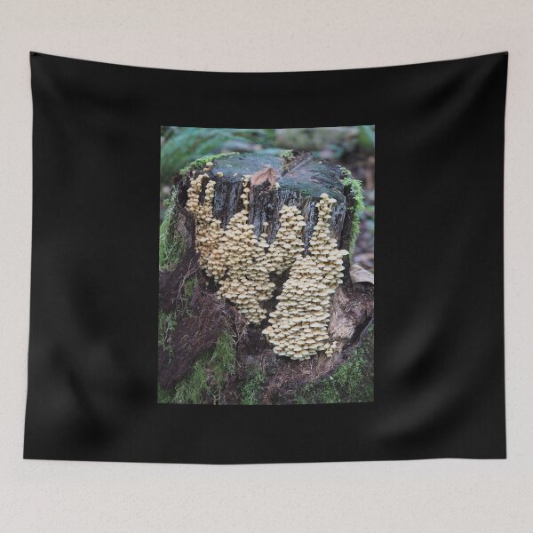 Item preview, Troops of sulphur tuft mushrooms on a stump designed and sold by SDym Photography.