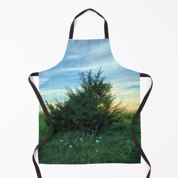 Item preview, Sunburst Cedar designed and sold by LynyrdSky.