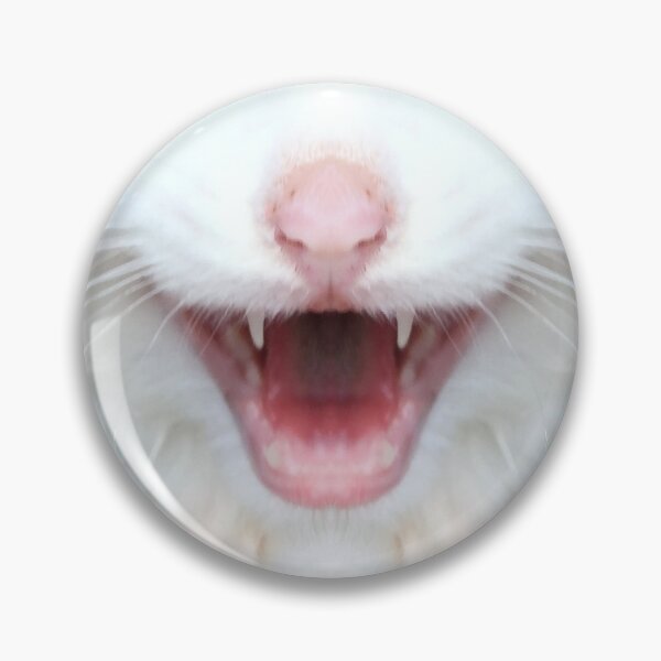 Item preview, ¡Soy un gatito, escúchame rugir! designed and sold by JinxWhaleDesign.