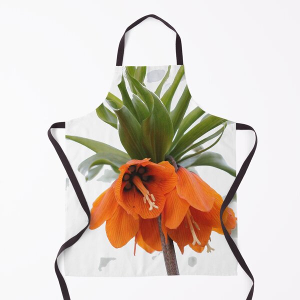 Item preview, Orange Kaiser's crown designed and sold by cuprum.