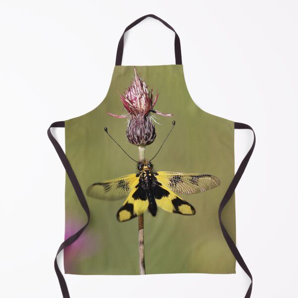 Item preview, Owly sulphur designed and sold by cuprum.