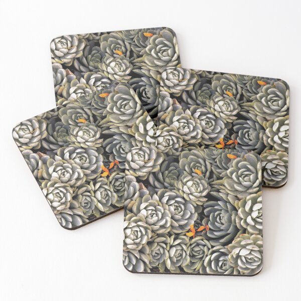 Item preview, Succulents Plants designed and sold by Pavel Polyansky.