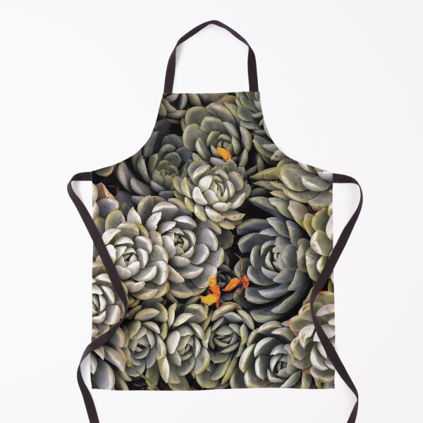 Item preview, Succulents Plants designed and sold by Pavel Polyansky.