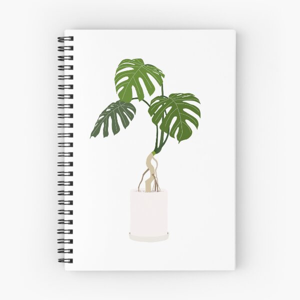 Item preview, Monstera Plant designed and sold by stabilitaet.