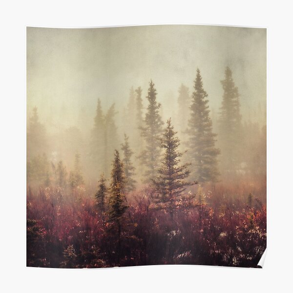 Wander in the Fog Poster