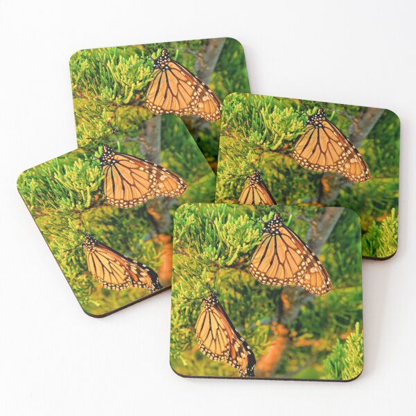 Item preview, Cedar Monarchs designed and sold by LynyrdSky.