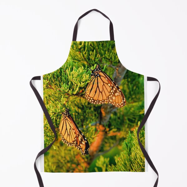 Item preview, Cedar Monarchs designed and sold by LynyrdSky.