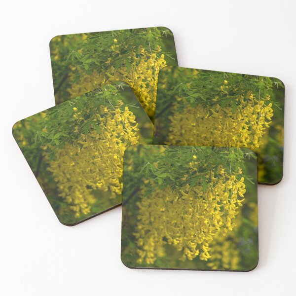 Item preview, Laburnum alpinum designed and sold by Irina777.