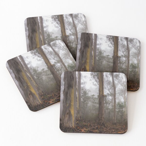 Item preview, Eucalypt forest in fog, Victorian High Country, Australia designed and sold by iansmissenphoto.