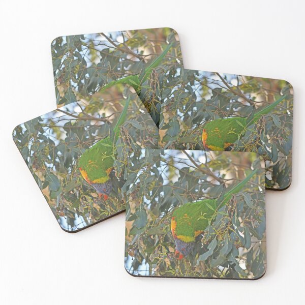 Item preview, Rainbow Lorikeet designed and sold by KYLIE MCKAY.