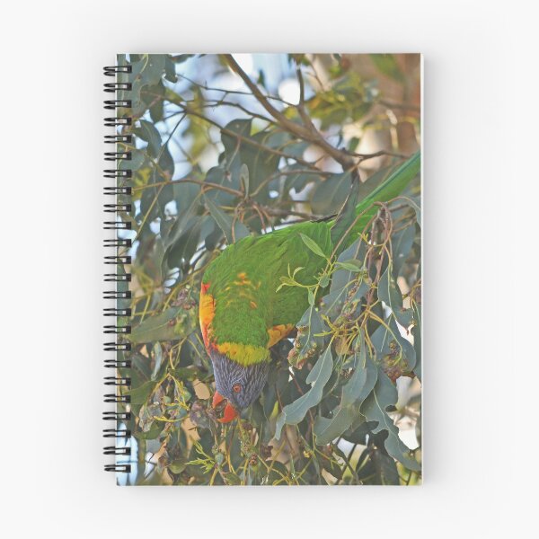 Item preview, Rainbow Lorikeet designed and sold by KYLIE MCKAY.