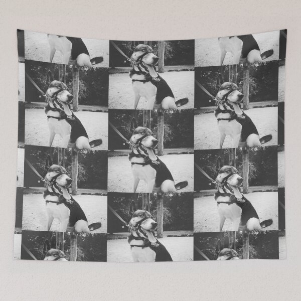 Item preview, Black and white dog in a black and white photograph designed and sold by Marcus Barcus.