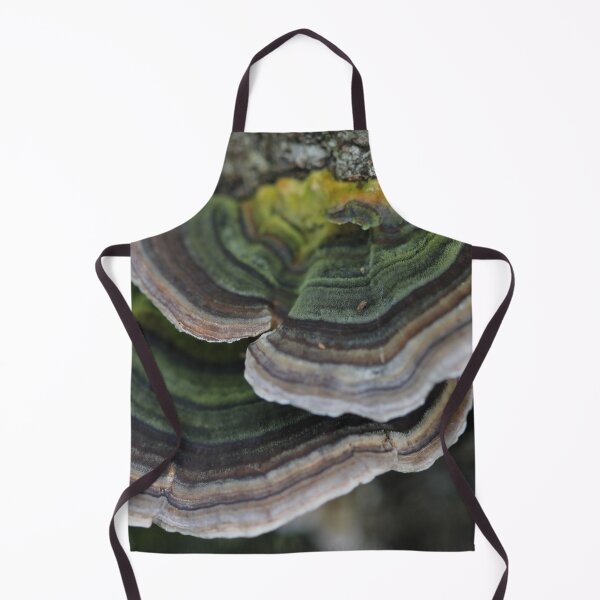 Item preview, Bracket fungus designed and sold by cuprum.