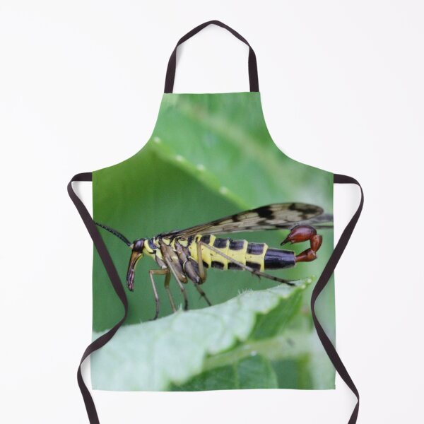 Item preview, Common scorpionfly designed and sold by cuprum.