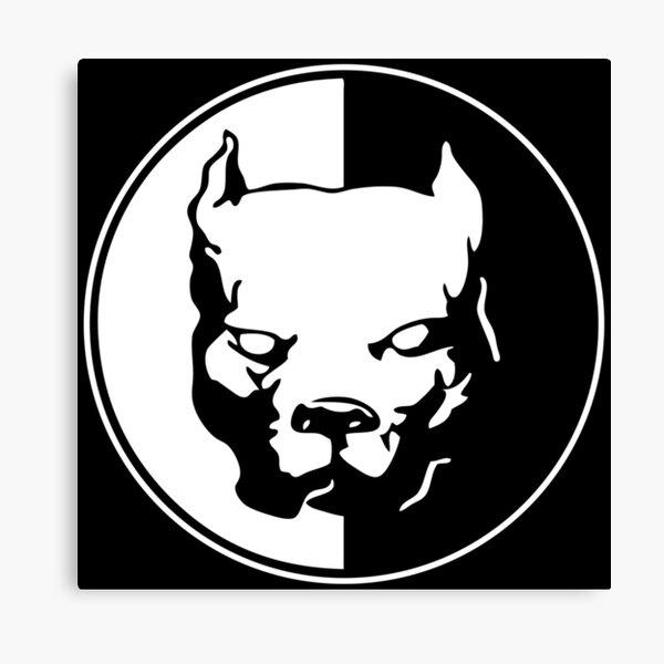 Pitbull Canvas Print