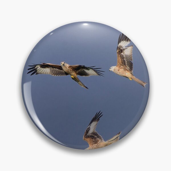 Item preview, Cometas rojas designed and sold by Martyn R Arnold Fine Art Nature & Landscape Photography.