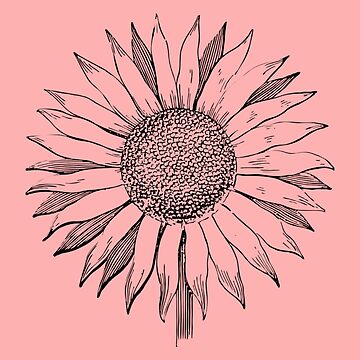 Sun Flower Art PNG, Vector, PSD, and Clipart With Transparent Background  for Free Download | Pngtree