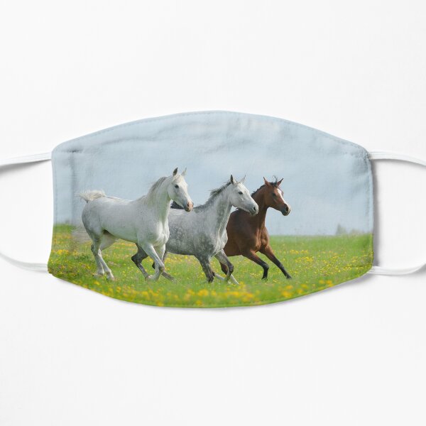 beautiful arabian horses in the field of dandelions Mask