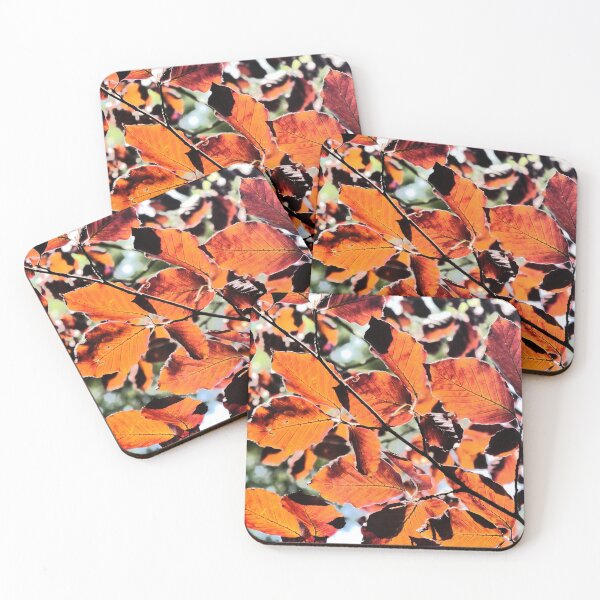 Item preview, Brown beech leaves against light designed and sold by angel1.