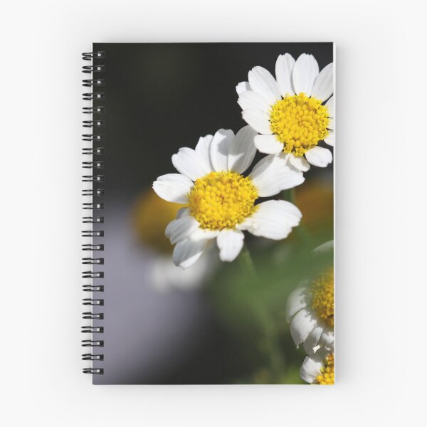 Item preview, Oxeye daisies designed and sold by GreyFeatherPhot.