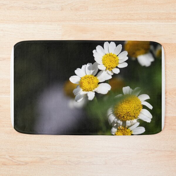 Item preview, Oxeye daisies designed and sold by GreyFeatherPhot.