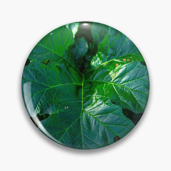 Item preview, Soft Green Leaf in Nature designed and sold by Marguerite Faure.