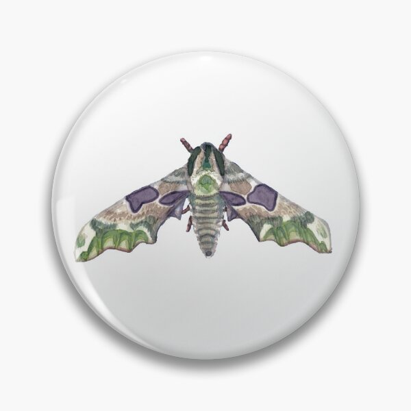 Item preview, Linden Sphynx Butterfly (dark) designed and sold by Pernelle-Opale.