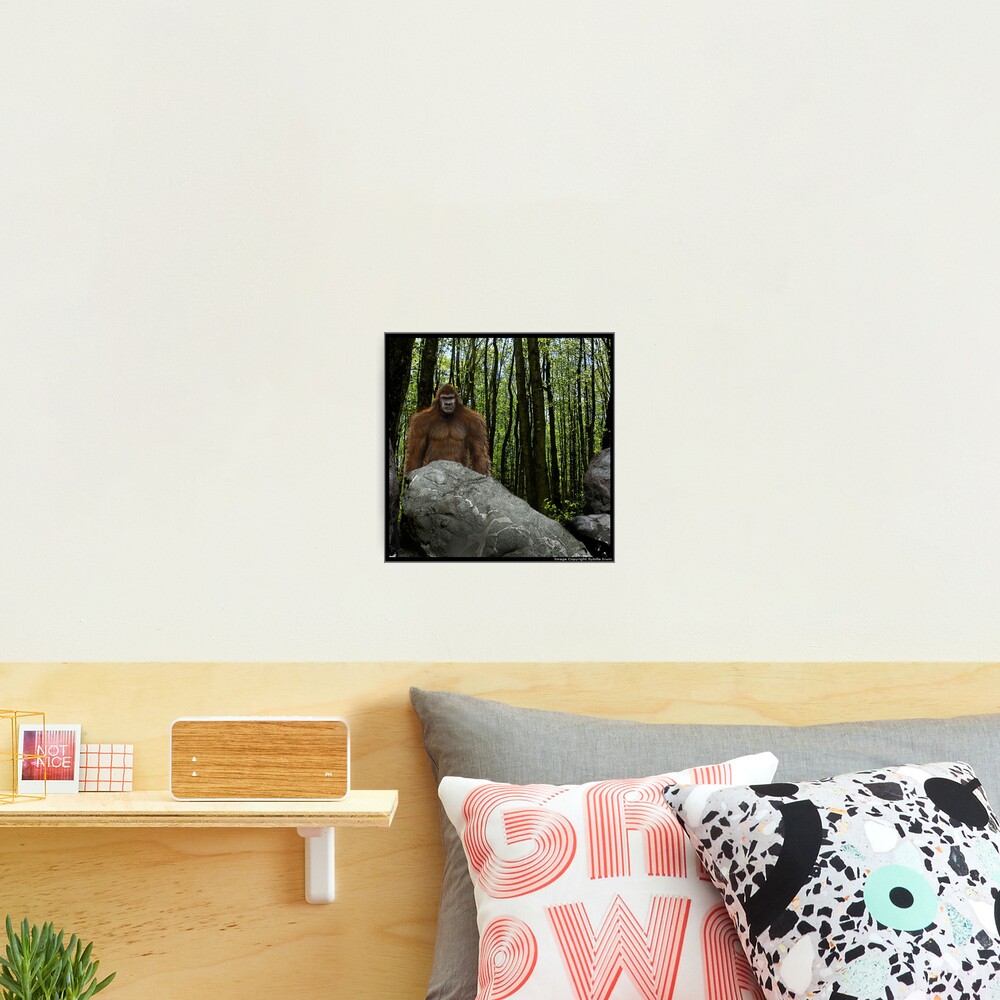 Oregon Sasquatch Photographic Print