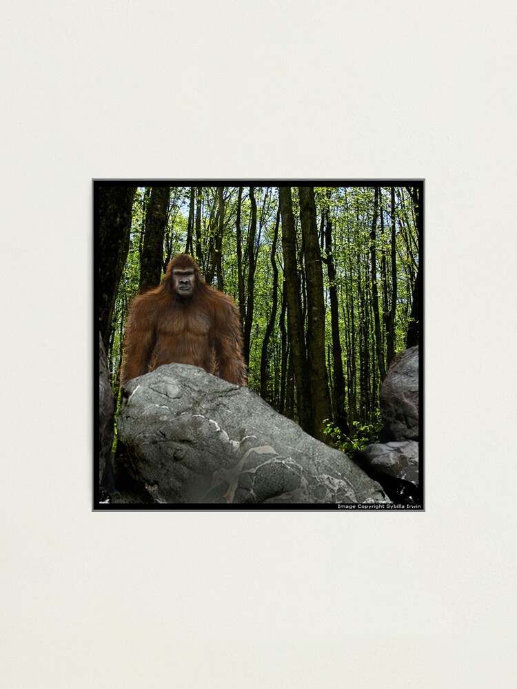 Alternate view of Oregon Sasquatch Photographic Print